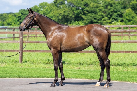 25-15_スカイノダン24