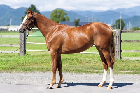 25-18_エルパンドール2024