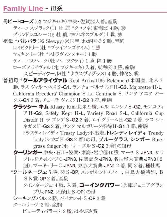 サラブレッドクラブライオン17年度1歳募集馬 ビートローズの16 ねこパンチの一口馬主