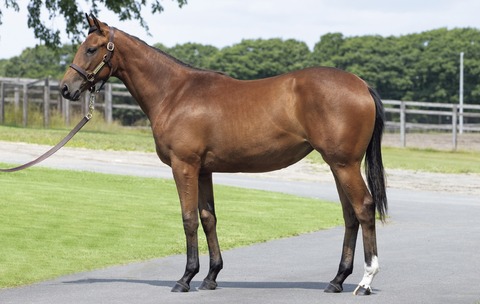 SkyeDiamond23_side_20240702