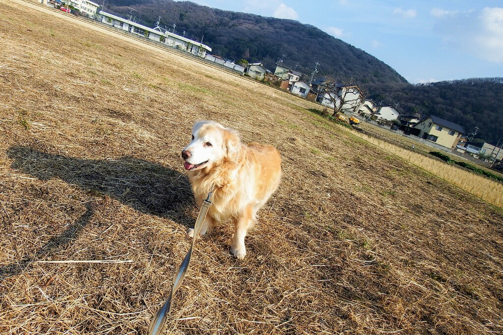 DSCF6131