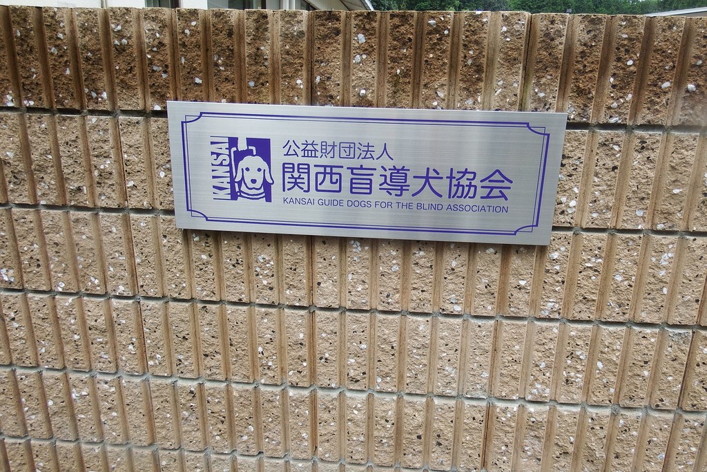 20191008～09京都-141