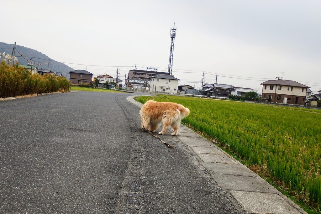 DSCF5296