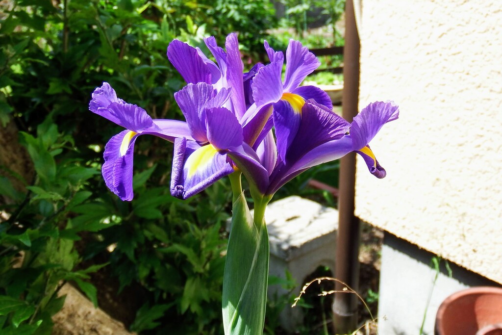 DSCF9393