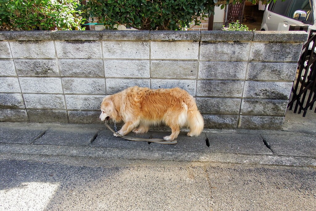 DSCF4841 (1)