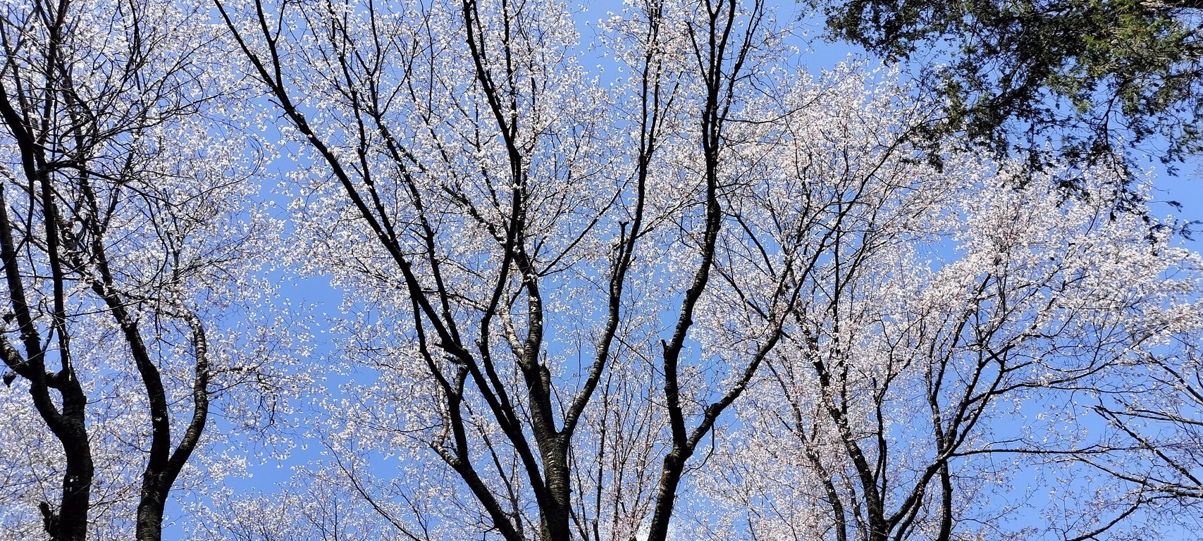 IMG20230328115459
