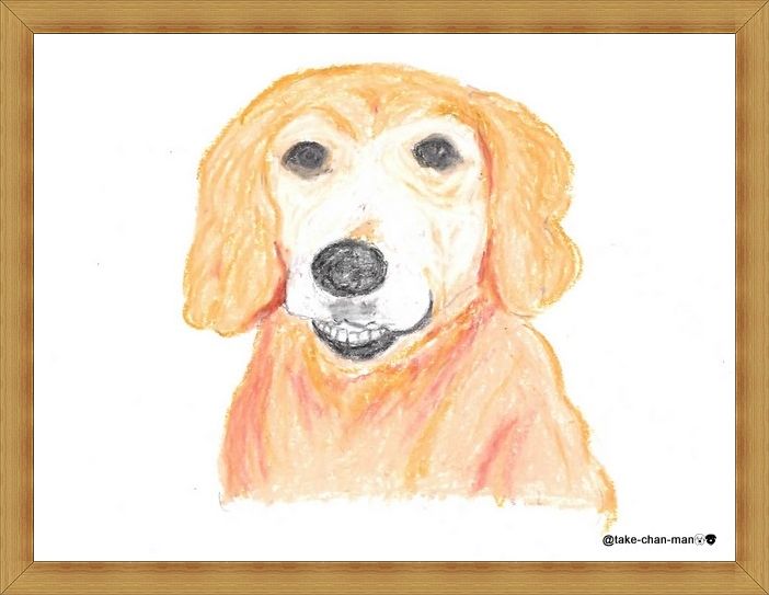 れお君のお友達イラスト特集です れお君と庭の花 Fromたけちゃんマン