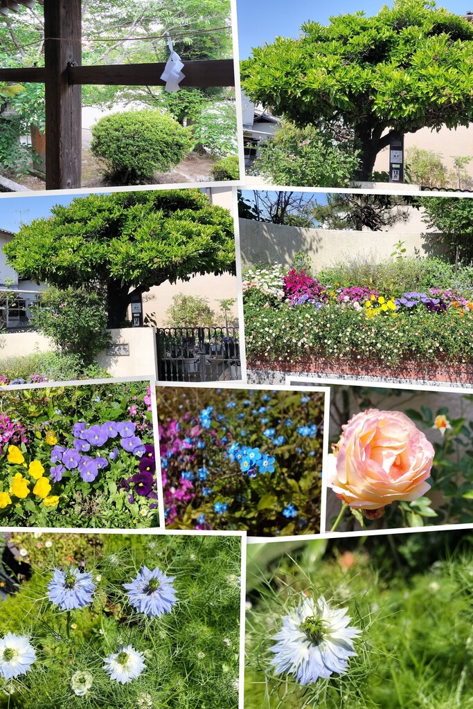 20230512063716-COLLAGE