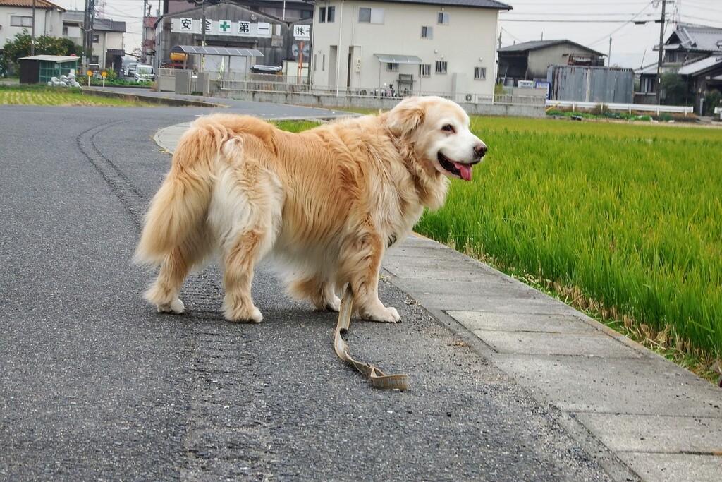 DSCF5298
