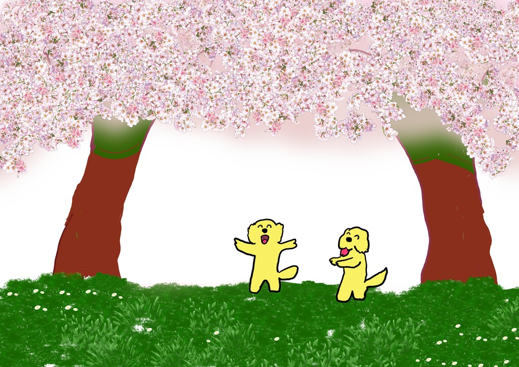 お花見4