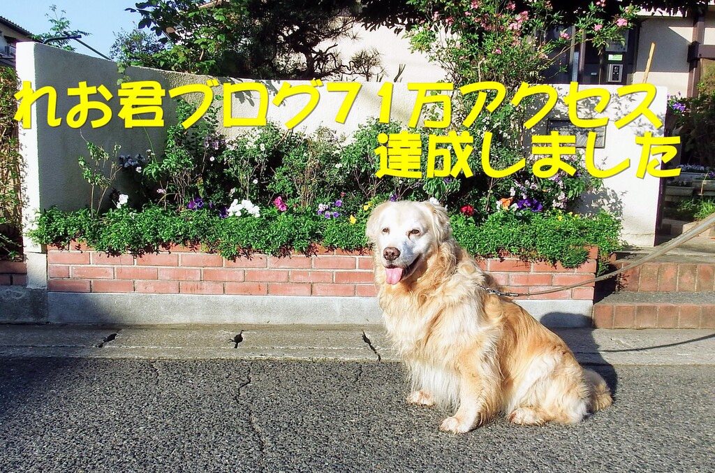 DSCF4989 (1)