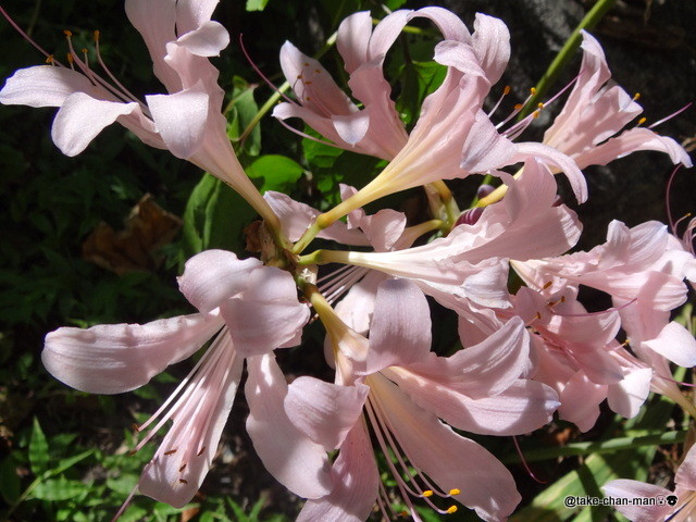 DSC00611