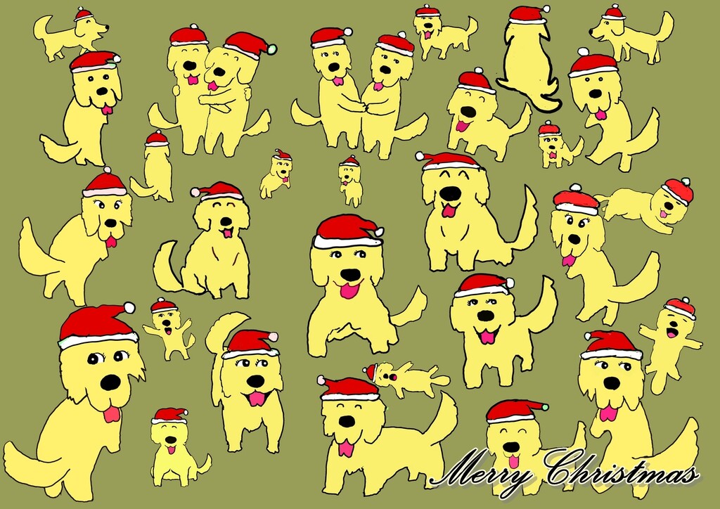 12.24クリスマス25人のれお君-1