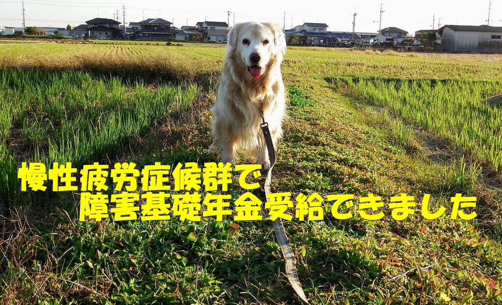 DSCF5115 (2)