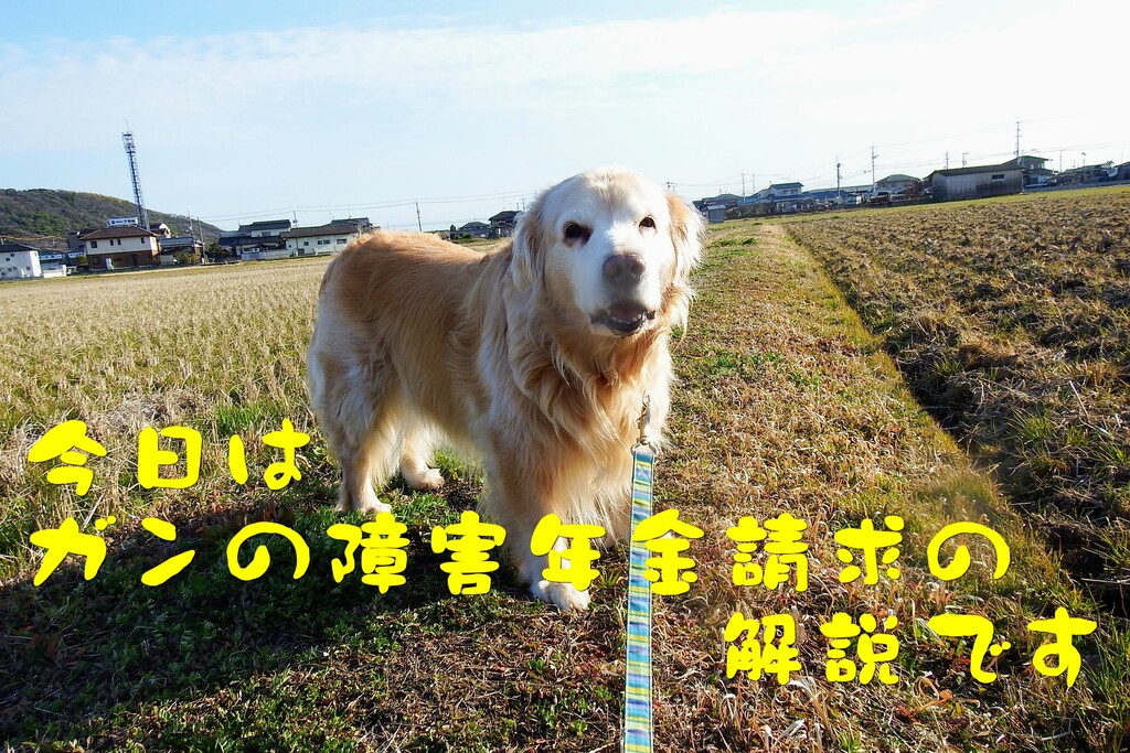 DSCF7076