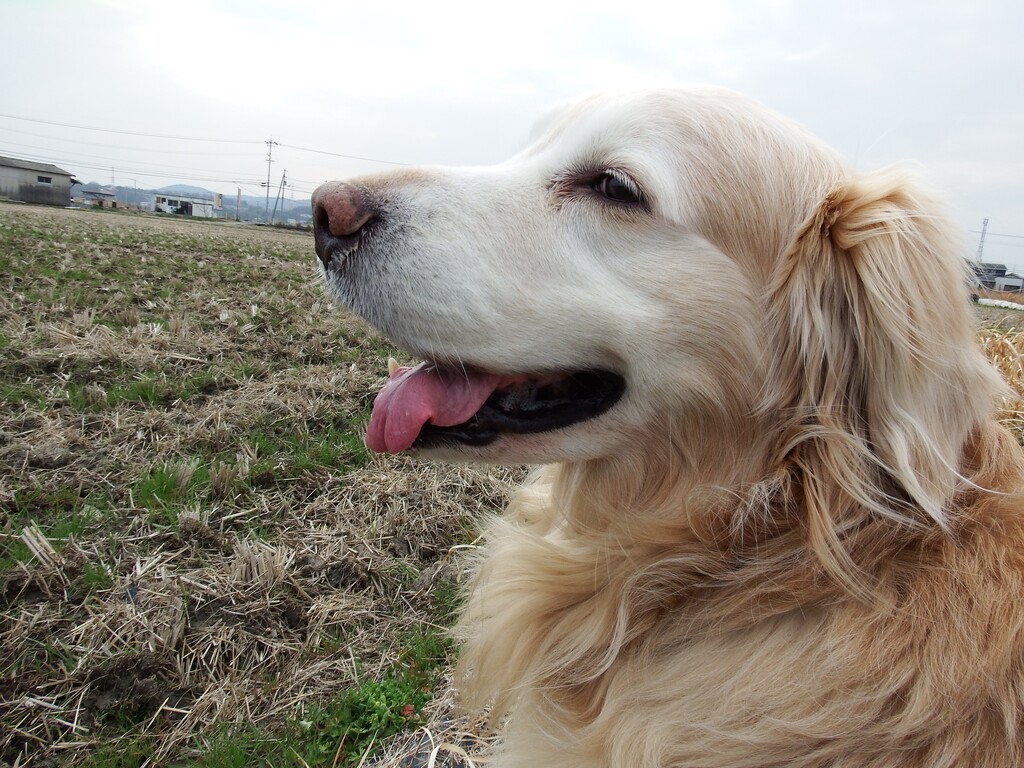 DSCF4527 (1)