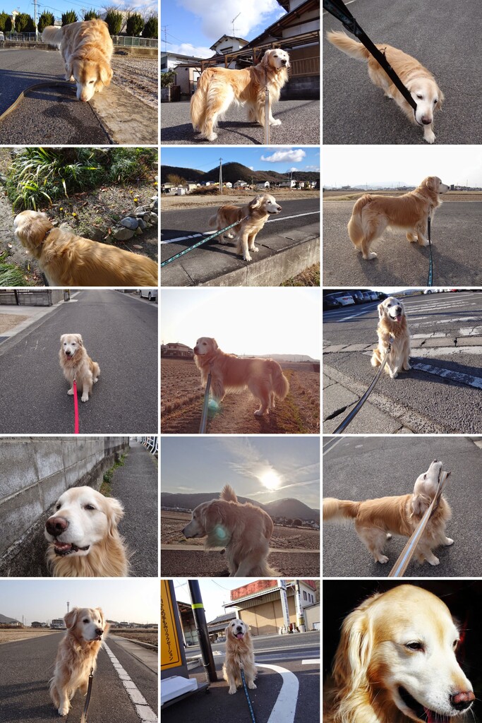 20150228DSC04126-COL