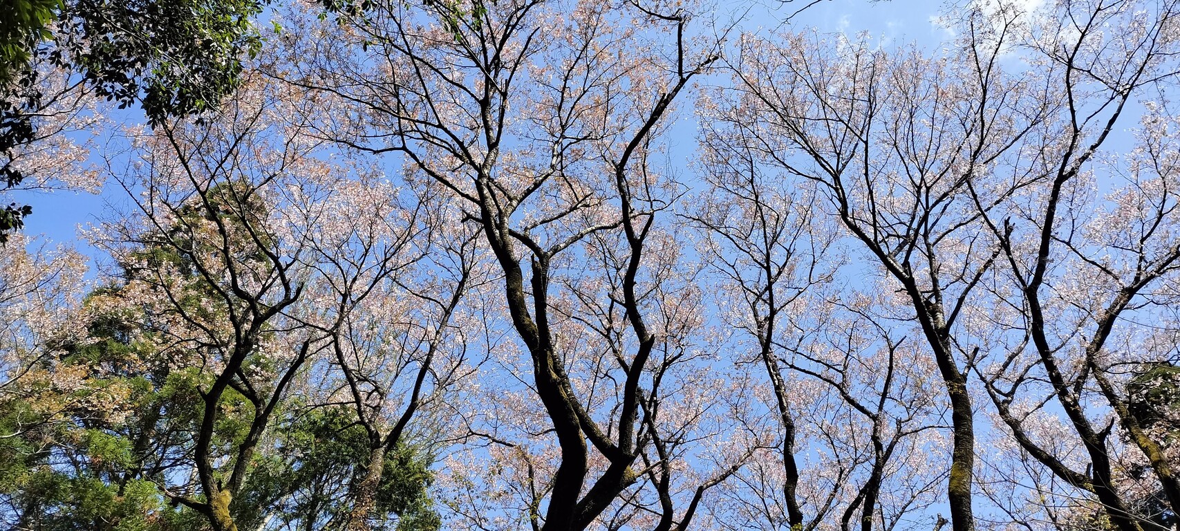 IMG20230328114949