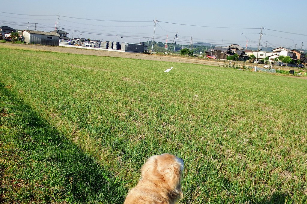 DSCF1444 (1)