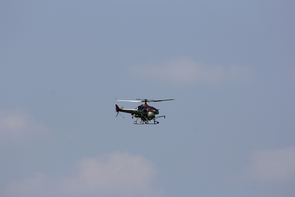農薬散歩用ヘリコプターが飛んでいました れお君と庭の花 Fromたけちゃんマン