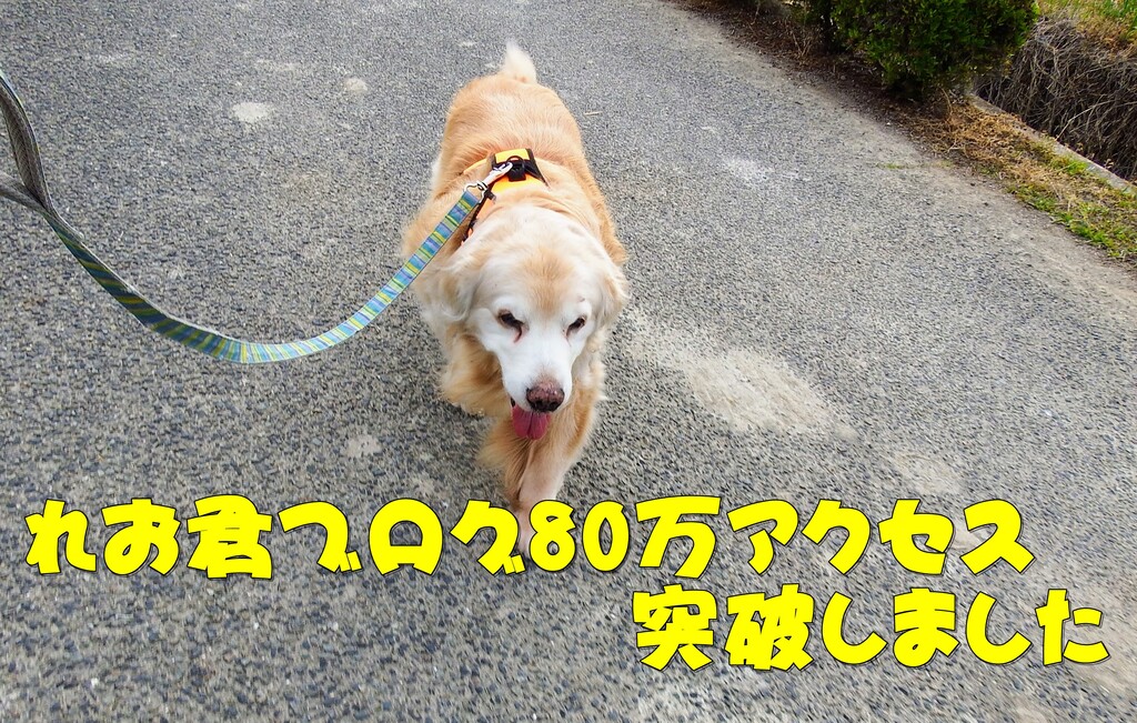 DSCF8952