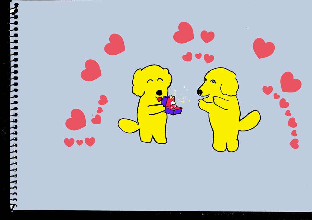 1.27求婚の日