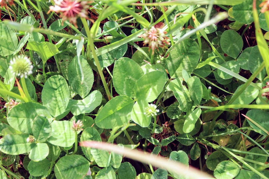 DSCF9581