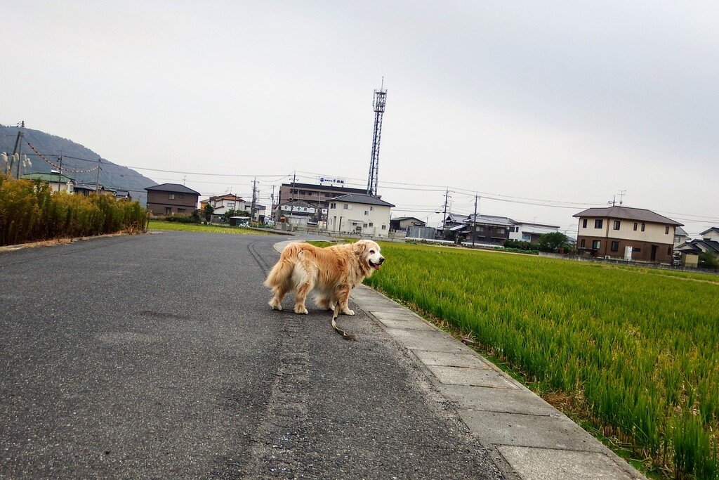 DSCF5297