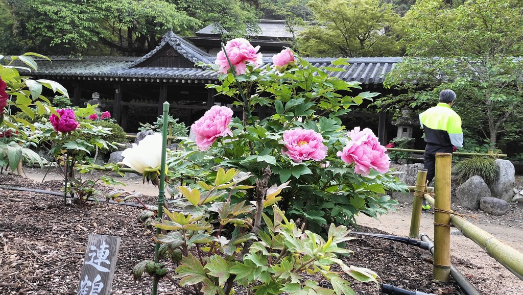 IMG20230421064841
