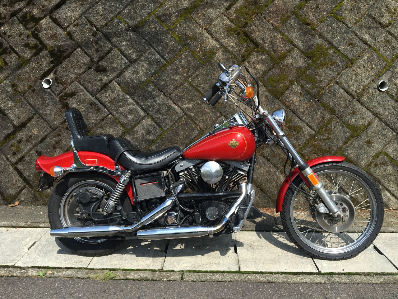 1981 fxwg