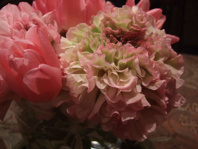 ラナンキュラスの季節です 花とわが子と神様と