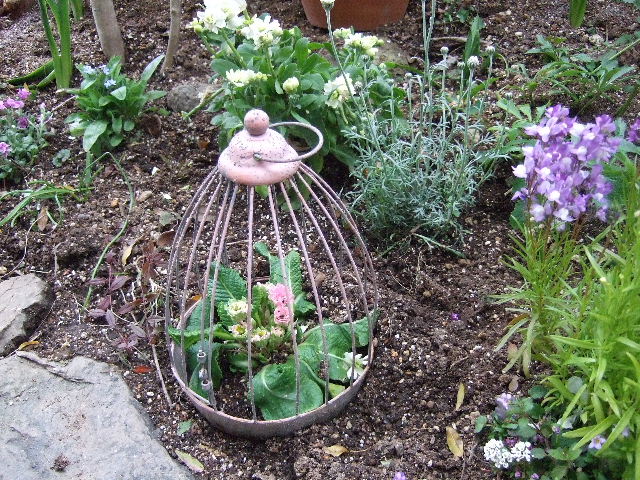 ヒヨドリ対策 花とわが子と神様と
