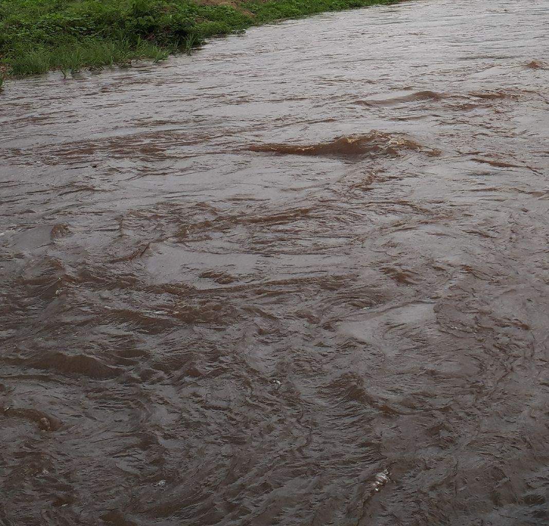 天気予報を信じてキイロヤマ出撃 トンボの採集日記のblog