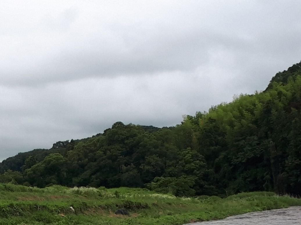 天気予報を信じてキイロヤマ出撃 トンボの採集日記のblog