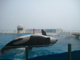 2b0cdf72.jpg