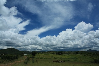 Tanzania-IMG_5368
