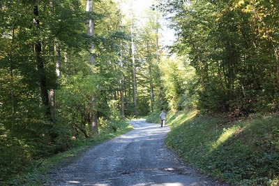 IMG_8771