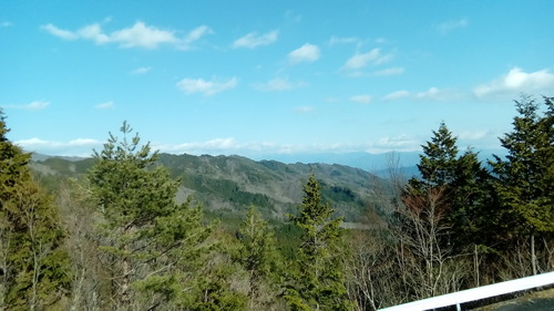 P_20190301_150030