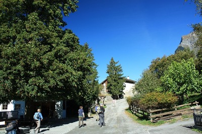 IMG_8718
