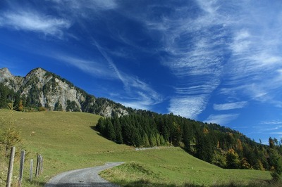 IMG_8821