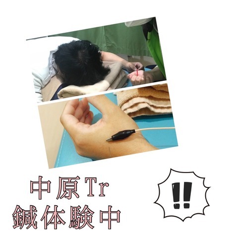 image_6483441