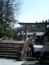 のってみた