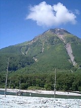 枯れ木