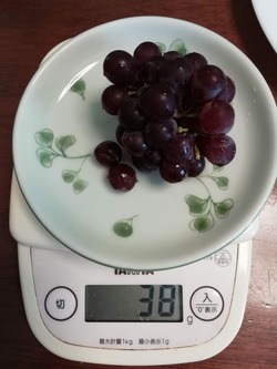 ぶどう