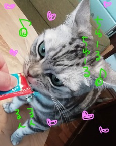おねこ様