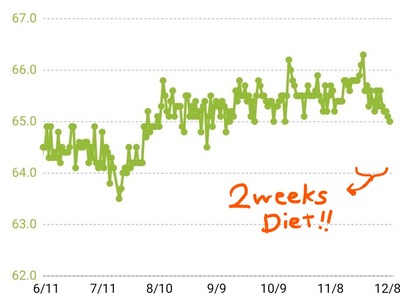 2weeks diet