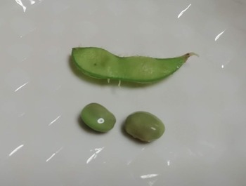 だだ茶豆