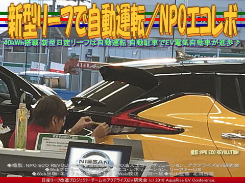 新型リーフで自動運転／NPOエコレボ画像