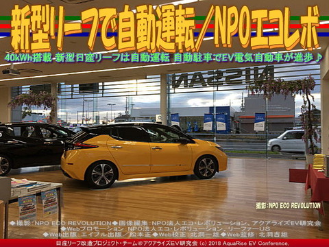 新型リーフで自動運転／NPOエコレボ画像