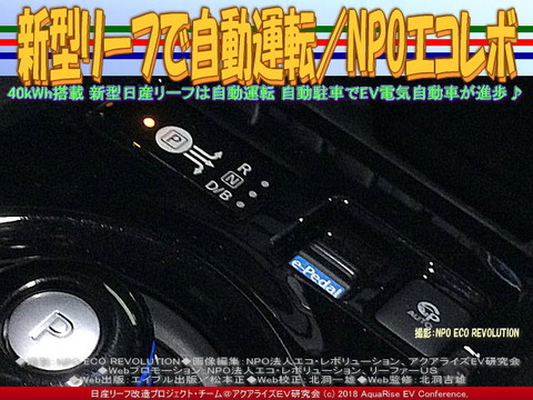 新型リーフで自動運転/NPOエコレボ画像